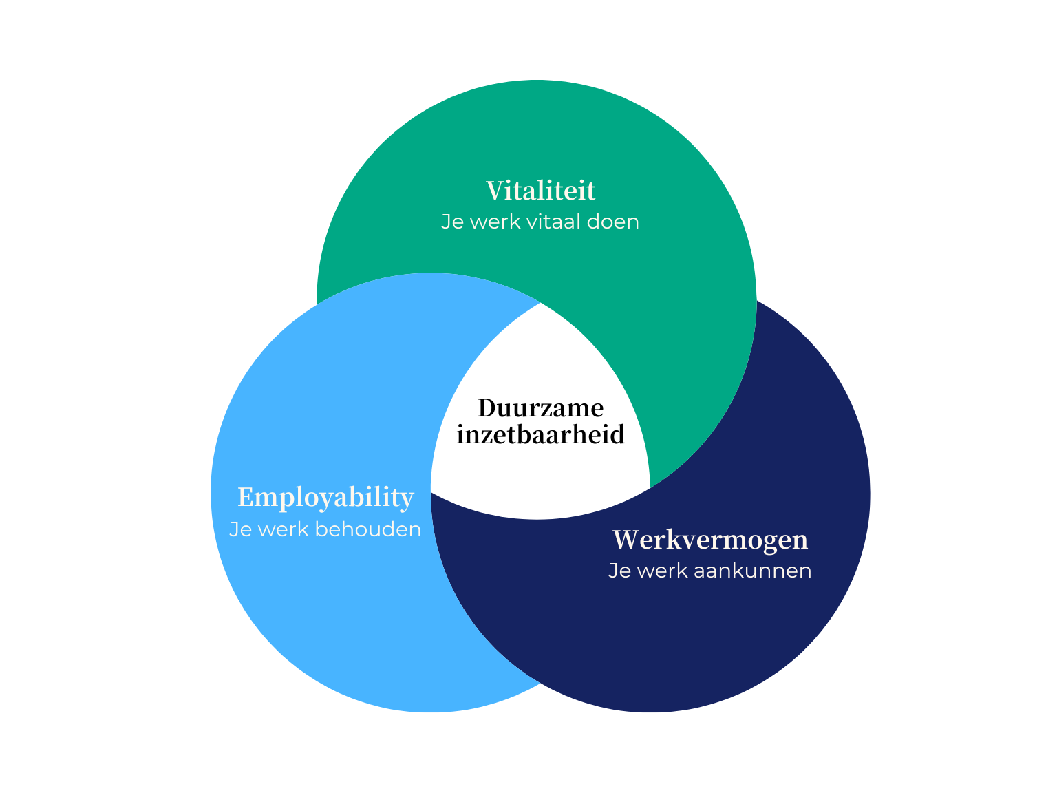 Een Venn-diagram met drie overlappende cirkels - Vitaliteit (boven, groen), Inzetbaarheid (links, blauw) en Werkvermogen (rechts, marineblauw) - toont Duurzame inzetbaarheid onderwijs in het midden waar ze allemaal overlappen.